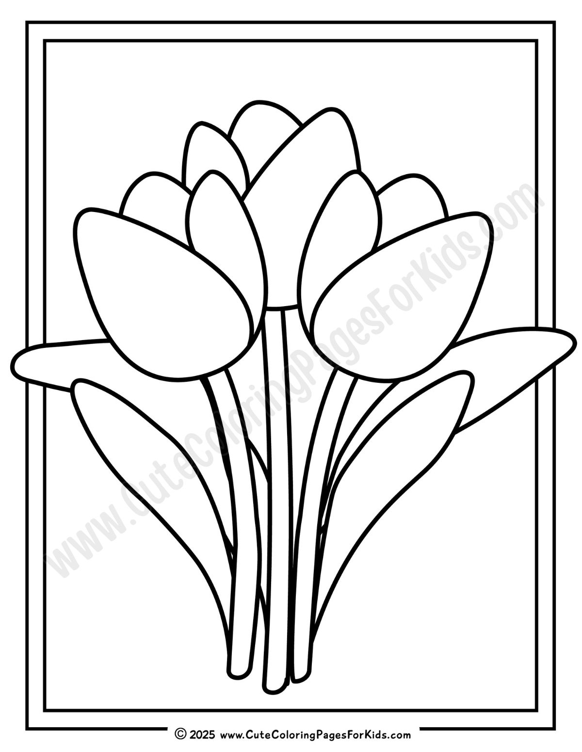 simple tulips coloring sheet with framed border